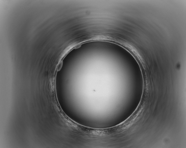 X0000100211097200806061340