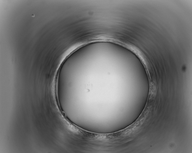 X0000100211098200806061340