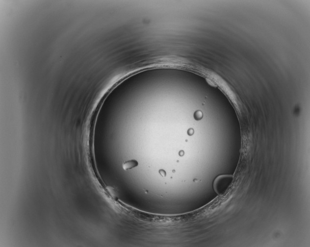 X0000100211099200806061340