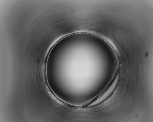 X0000100211100200806061340