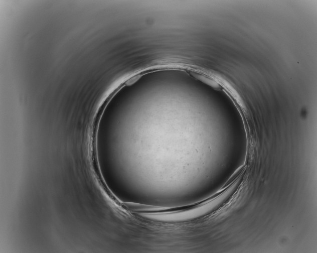 X0000100211101200806061340