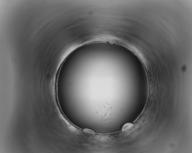 X0000100211103200806061340