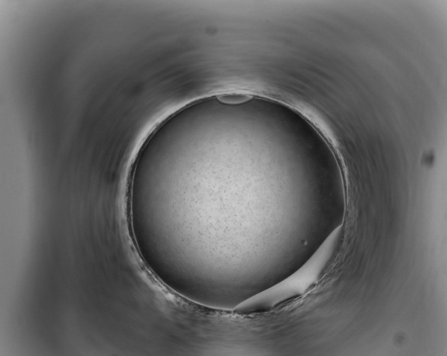 X0000100211104200806061340