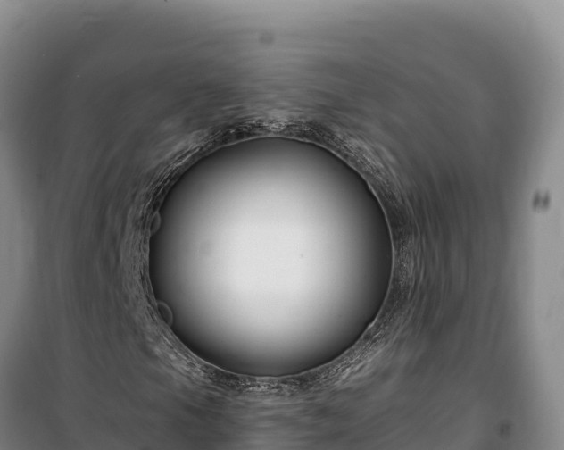 X0000100211105200806061339