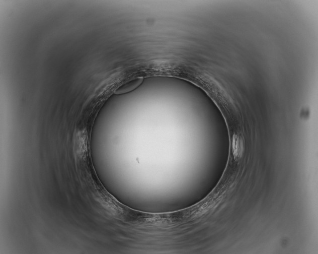 X0000100211107200806061339