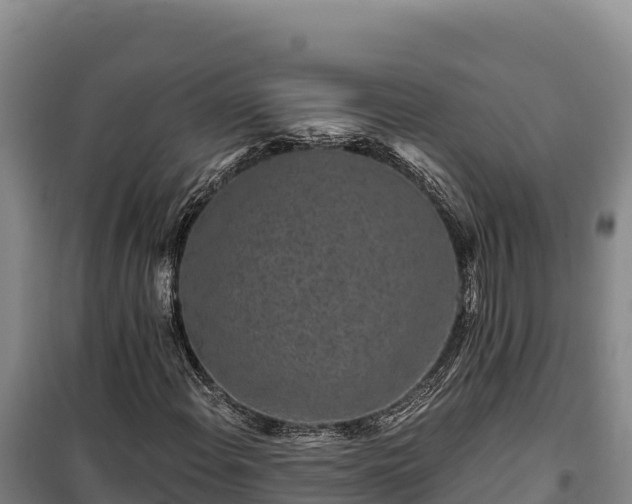 X0000100211108200806061339