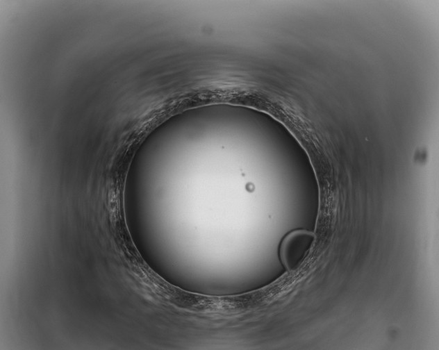 X0000100211109200806061339