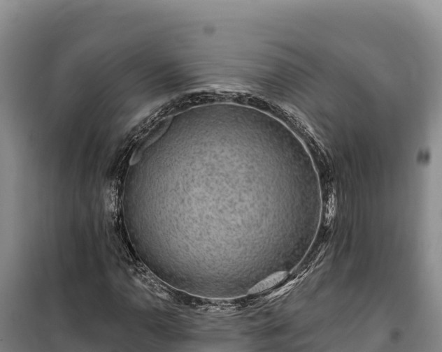 X0000100211110200806061339