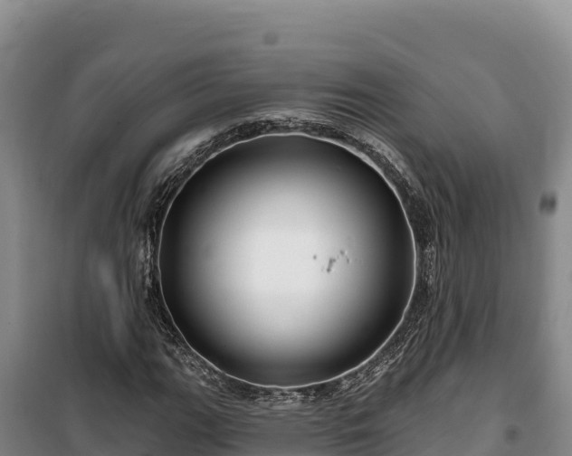 X0000100211111200806061339