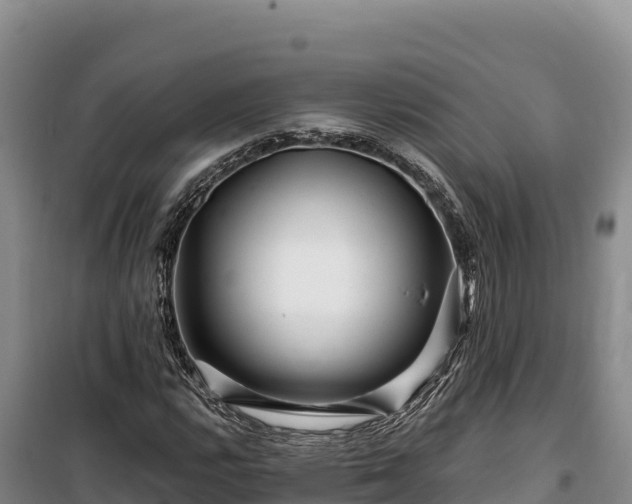 X0000100211112200806061339