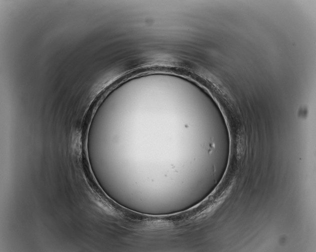 X0000100211113200806061339