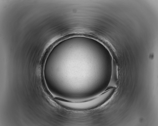 X0000100211114200806061339