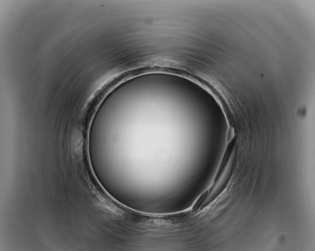 X0000100211115200806061339