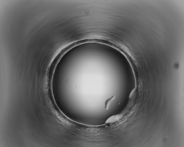 X0000100211116200806061339