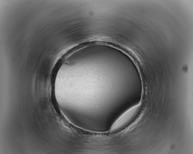 X0000100211117200806061339