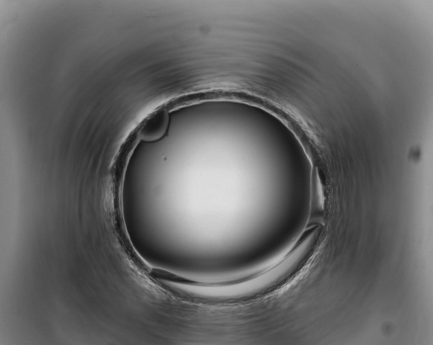 X0000100211118200806061339