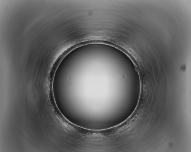 X0000100211119200806061339