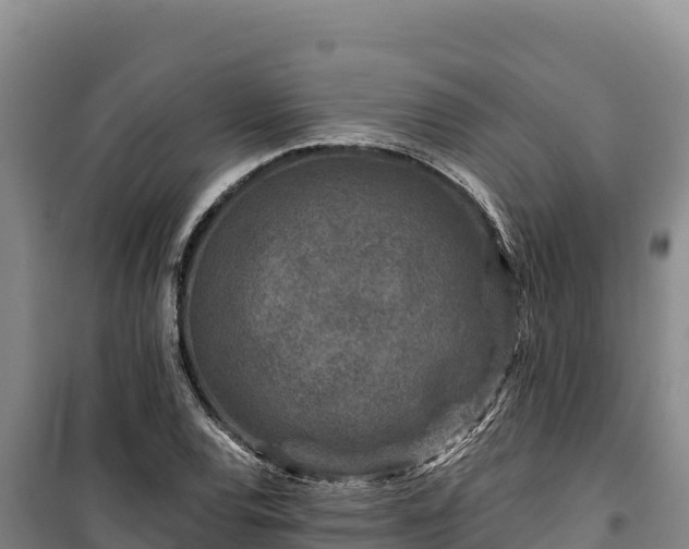 X0000100211120200806061339