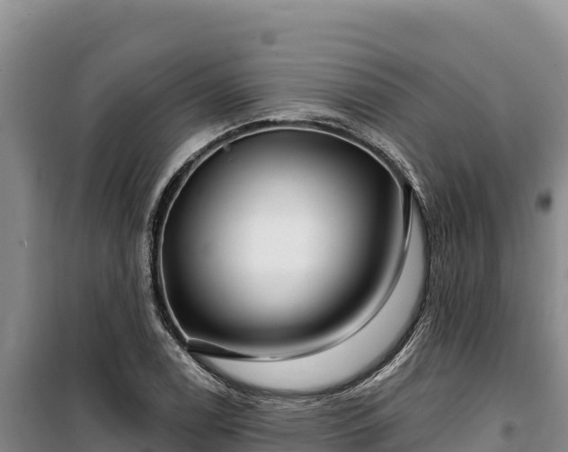 X0000100211122200806061339