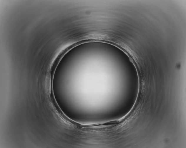 X0000100211123200806061339