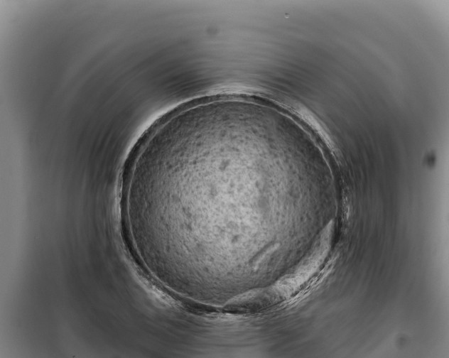 X0000100211124200806061339