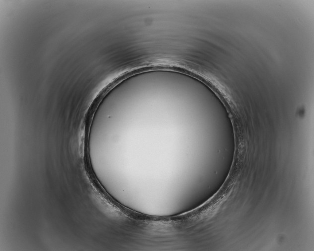 X0000100211126200806061340