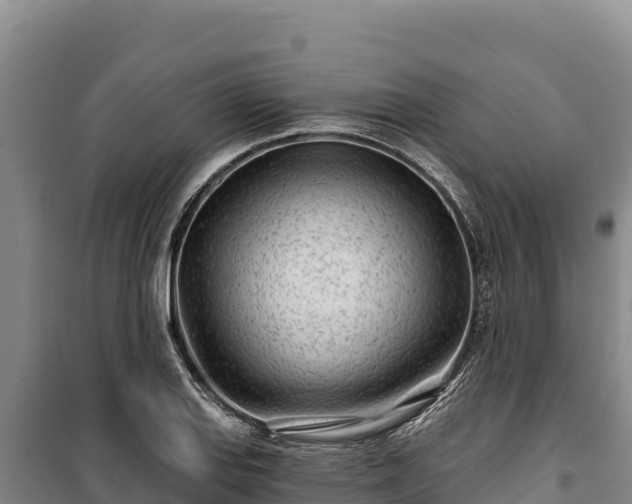 X0000100211127200806061340