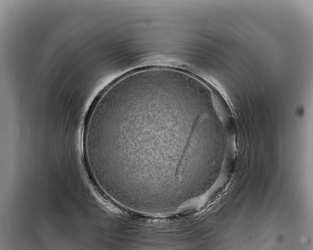 X0000100211128200806061340