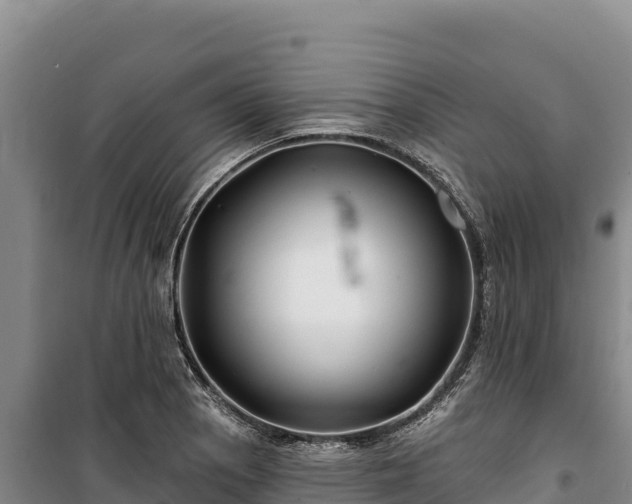 X0000100211129200806061340