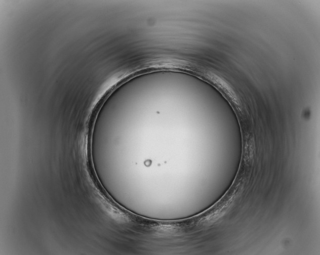 X0000100211130200806061340