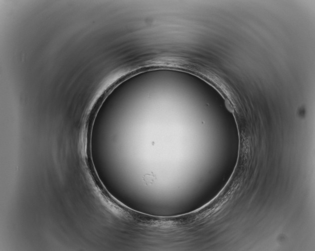 X0000100211131200806061340