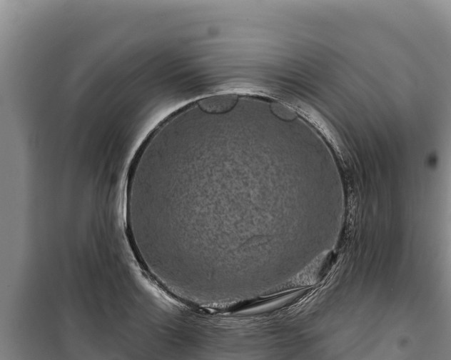 X0000100211132200806061340