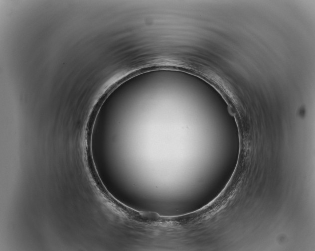 X0000100211133200806061340