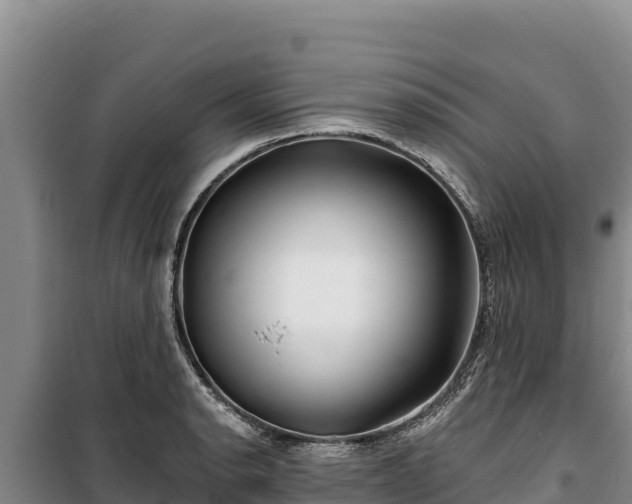 X0000100211134200806061340