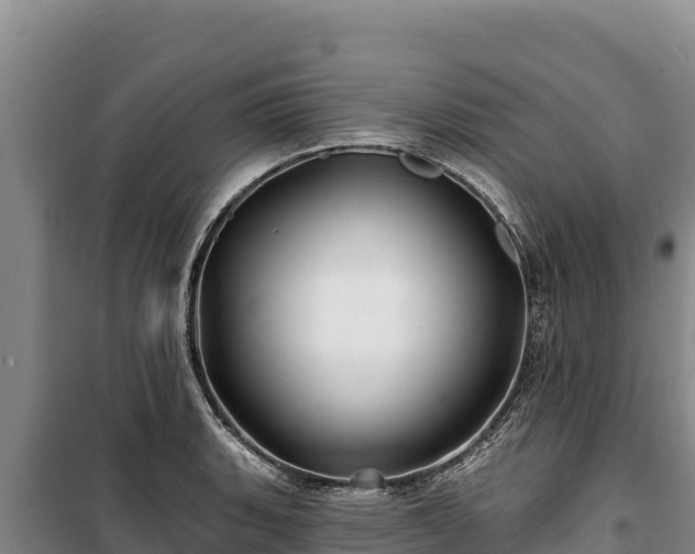 X0000100211135200806061340