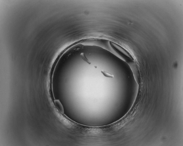 X0000100211136200806061340