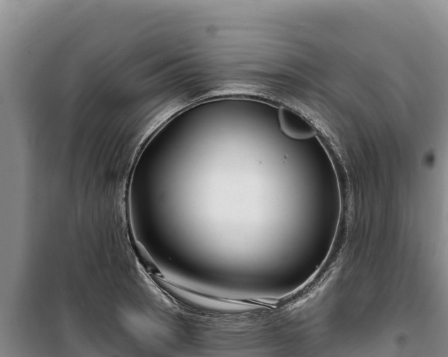 X0000100211137200806061340