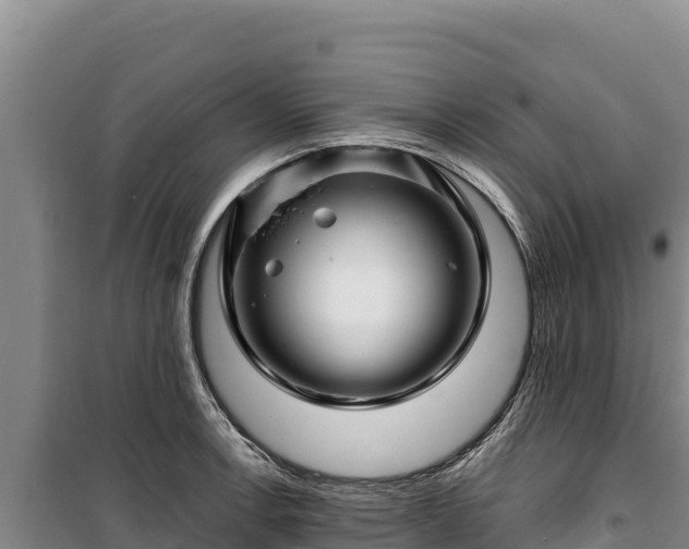 X0000100211138200806061340