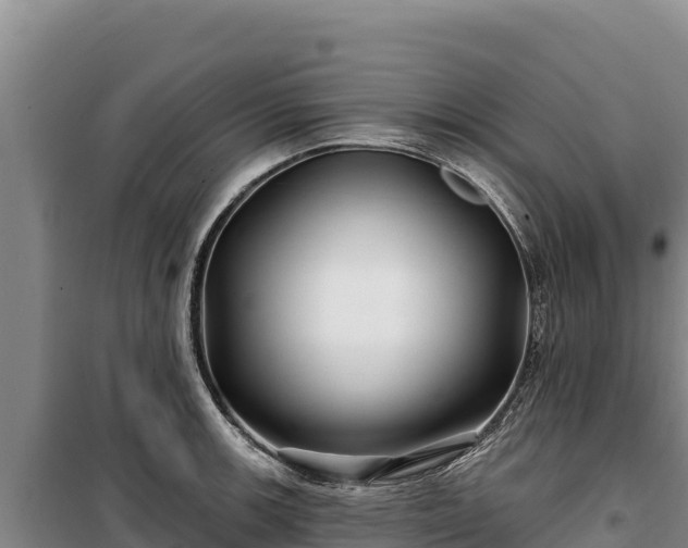 X0000100211139200806061340