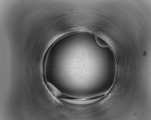 X0000100211141200806061340