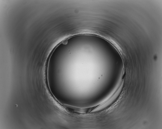 X0000100211142200806061340