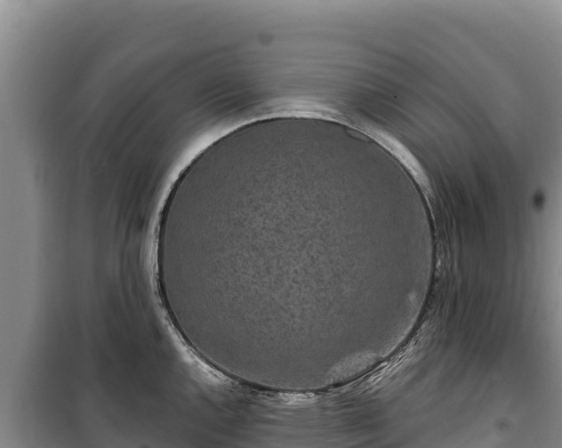 X0000100211144200806061340