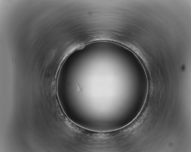 X0000100211145200806061340