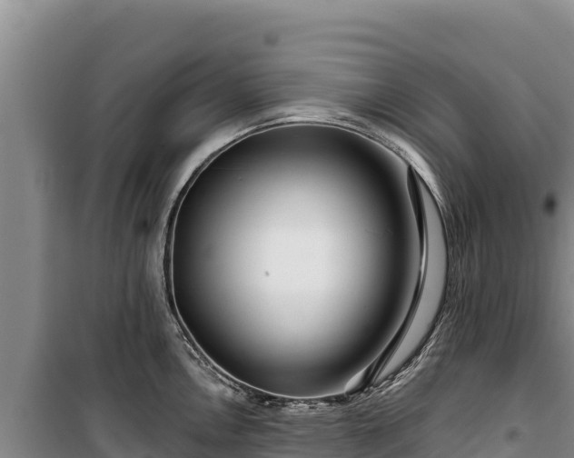 X0000100211146200806061340