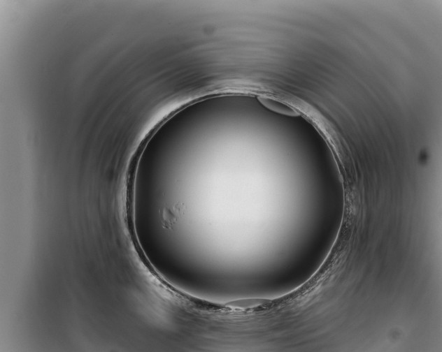 X0000100211147200806061340