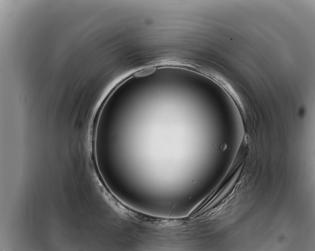 X0000100211148200806061340