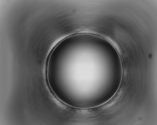 X0000100211149200806061340