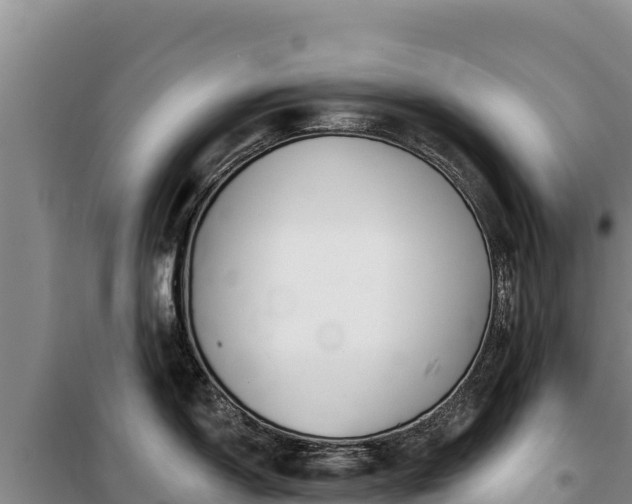 X0000100211150200806061340