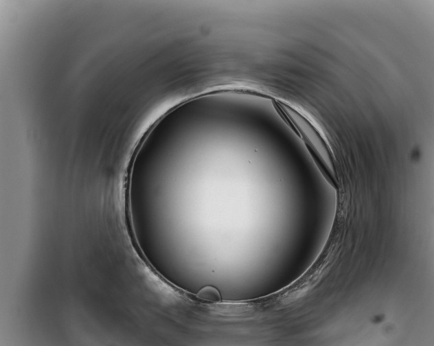 X0000100211151200806061340