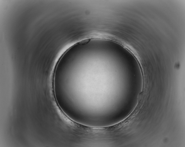 X0000100211152200806061340